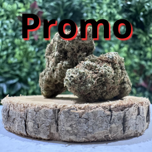 Gorilla Promo