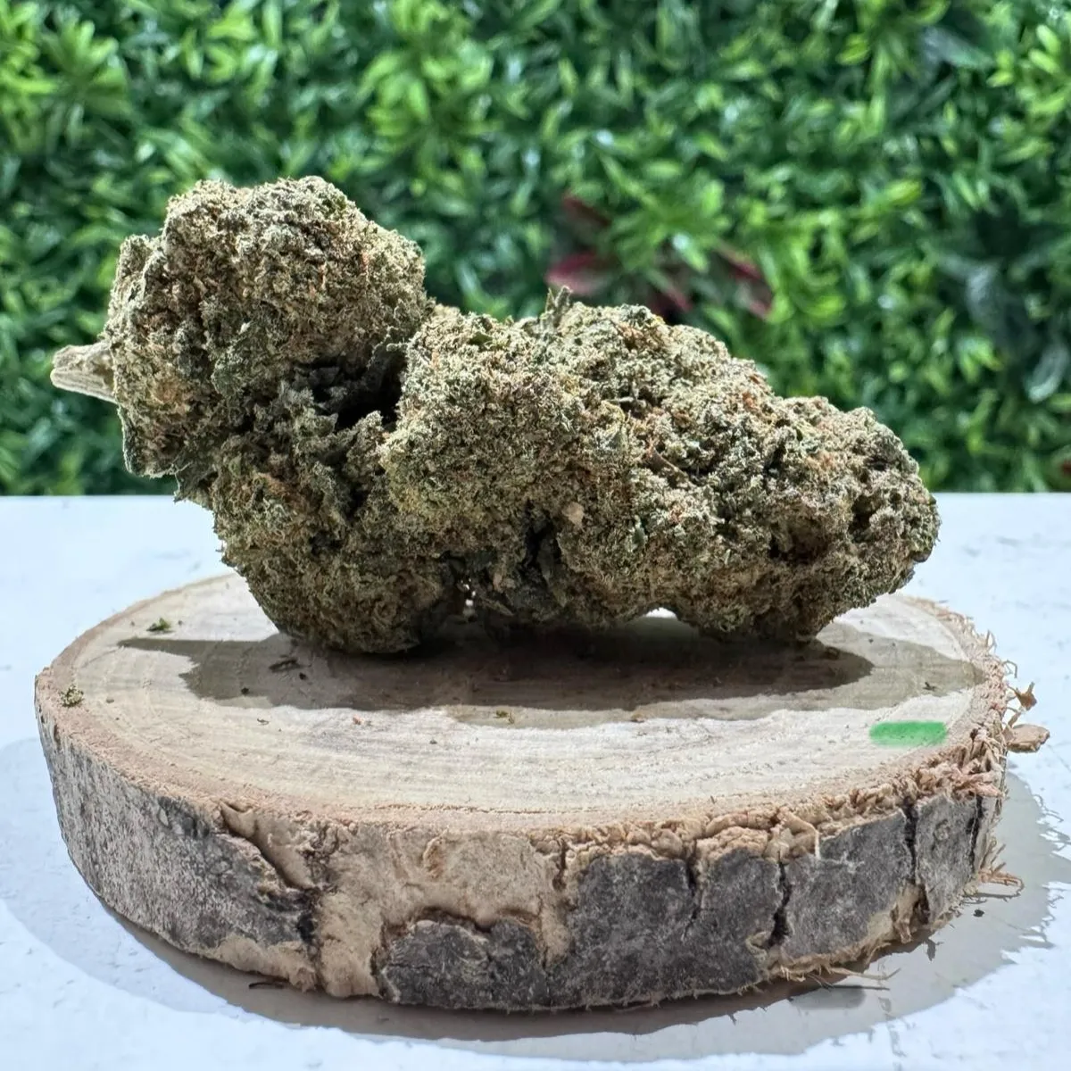 Fleur CBD Sundet Sherbet